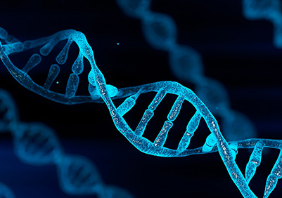 picture of a DNA strand